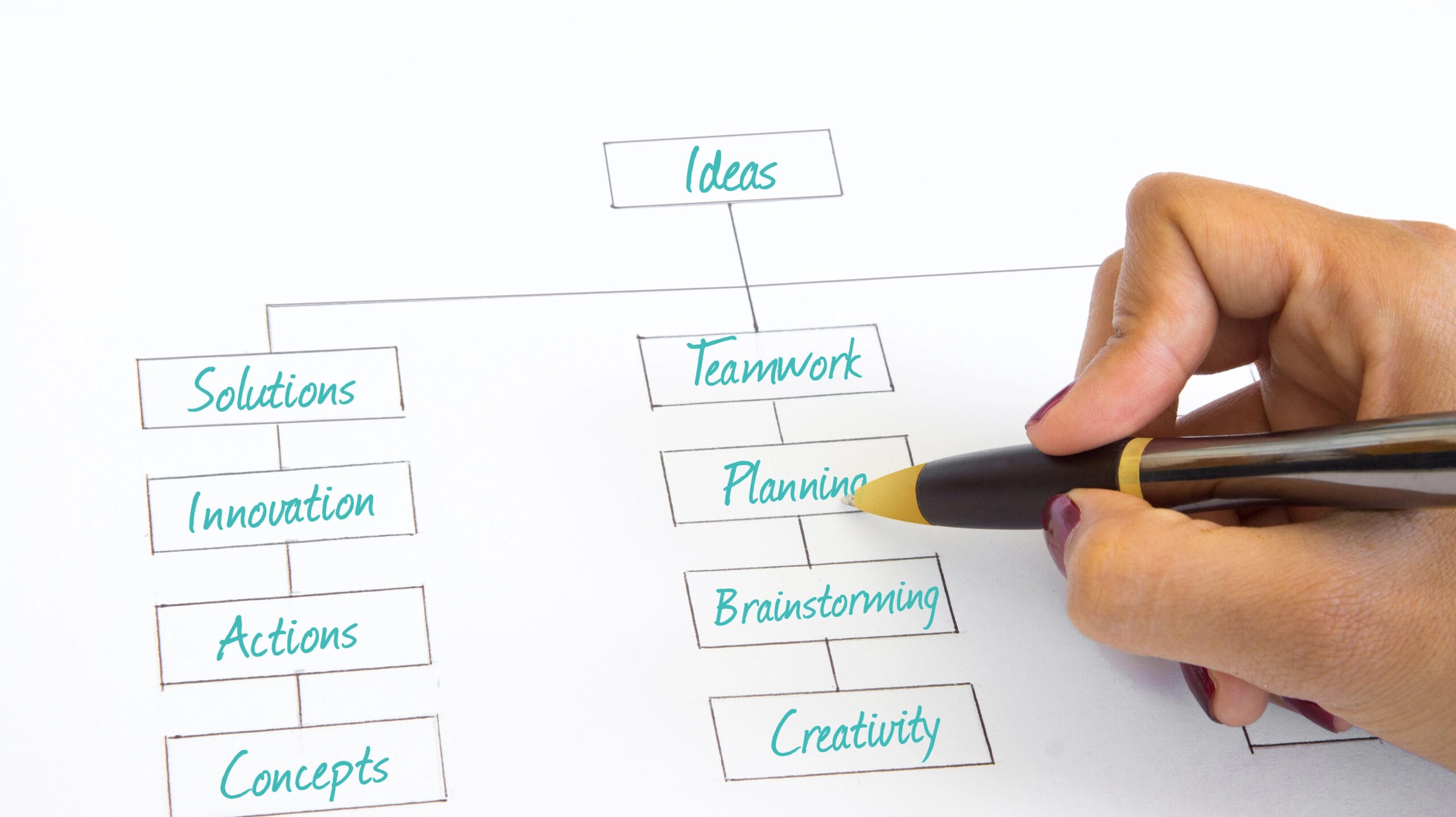 a hand drawing a sitemap