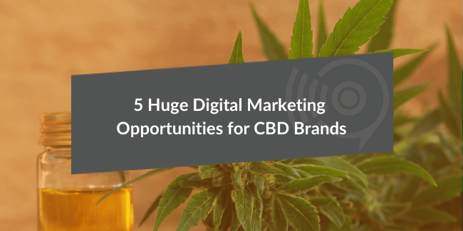 Digital Marketing for CBD Brands