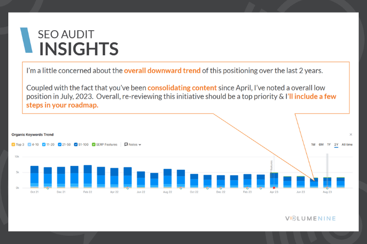 SEO Insights